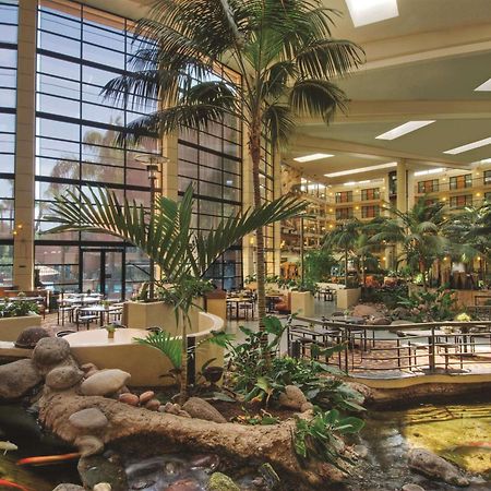 Embassy Suites By Hilton Phoenix Biltmore Exteriér fotografie